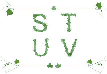 Alphabet letters from the leaves in Patricks day or spring and summer style. Alphabet set with letter s, t, u, v with strawberries, grapes and clover leaves