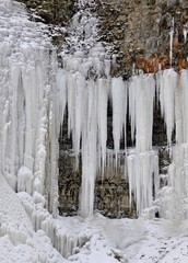Fototapeta premium frozen Tiffany waterfall in Hamilton Ontario Canada 
