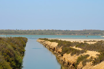 Parque natural de las Lagunas de La Mata y Torrevieja