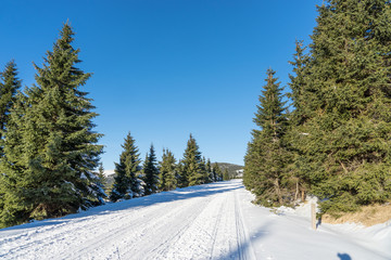 Leere schneebedeckte Straße in der Winterlandschaft