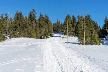 Fototapeta premium Leere schneebedeckte Straße in der Winterlandschaft