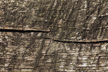 Background of rustic wooden planks, natural background, boards  of wood. Brown color. Old cracked split wood. Nice rough texture. Plenty of copy space for text or picture.