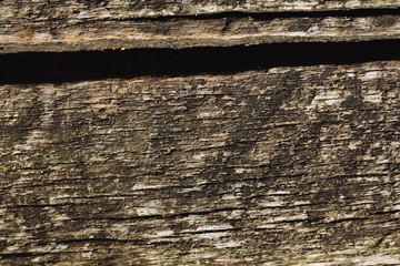 Background of rustic wooden planks, natural background, boards  of wood. Brown color. Old cracked split wood. Nice rough texture. Plenty of copy space for text or picture.