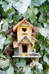 Small bird feeding house