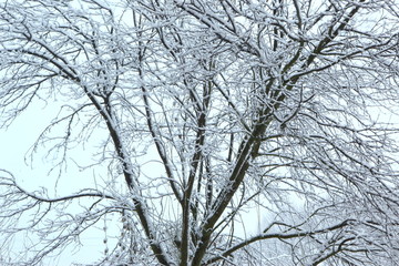 Fototapeta na wymiar Śnieg