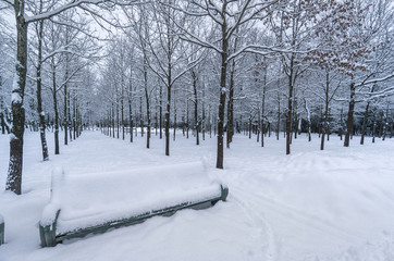 Fototapeta na wymiar Snow covered bench
