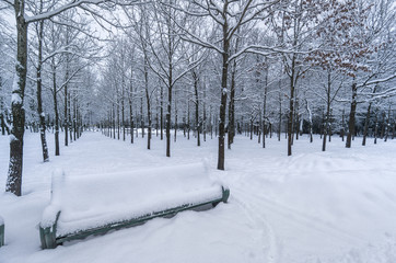 Snow covered bench