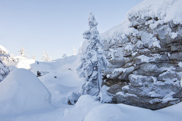 Snow covered spruces and rocks. Mountain Zyuratkul, winter lands