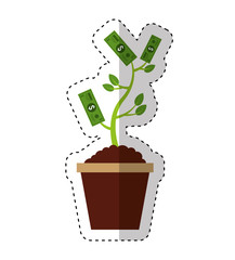 bills plant isolated icon vector illustration design