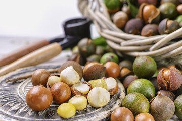 Macadamia nuts with shell - tasty expensive fat nuts