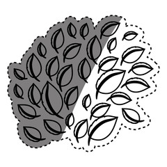 Leaves natural concept icon vector illustration graphic design