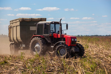 Big red tractor rides through the field with a trailer loaded with sunflower seeds on a bright sunny day. Autumn harvest.