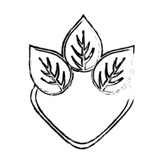 Obraz premium Leaves natural concept icon vector illustration graphic design