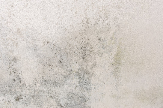 Mould and moisture buildup on wall