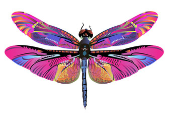 vector color art dragonfly nature wildlife fly - obrazy, fototapety, plakaty