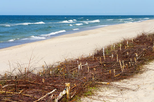 fascine cage made of tree branches to keep the sand on the beach