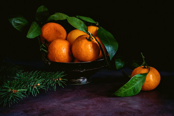 Still life of fresh tangerines with green leaves in vintage metal bowl. Toned image, low key technique (chiaroscuro). Close up view. © Vladislav Noseek