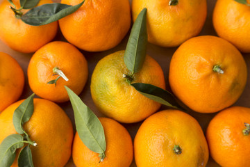 All filled with tangerines, citrus fruits