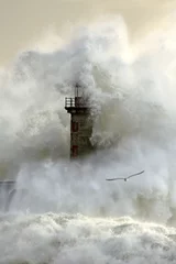 Poster Stürmische Welle über Leuchtturm © Zacarias da Mata