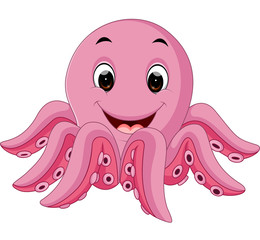 Octopus cartoon

