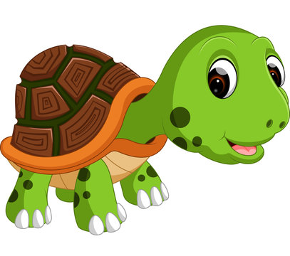 Cute  turtle cartoon

