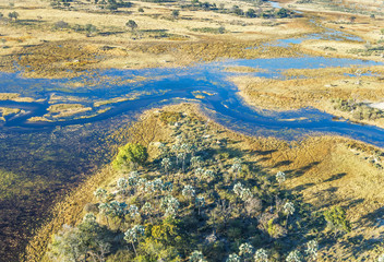Okavango delta (or Okavango Grassland) is one of the Seven Natural Wonders of Africa (view from the...