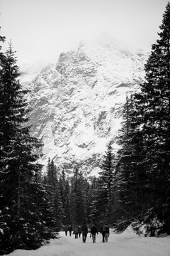  Mountains - Zakopane in the winter - monochrome