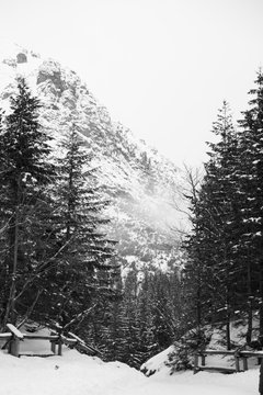 Tatra Mountains  in the winter - monochrome