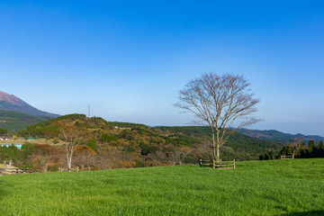 Obraz premium Beautiful farmland