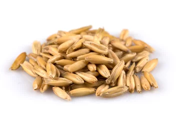 Foto op Plexiglas pile of organic oat grains © romantsubin