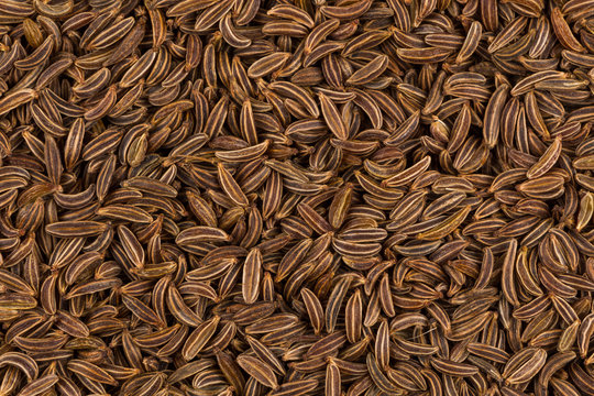 Close up caraway seeds