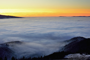 Landscape with trees and fog. Winter inversion in Slovakia. Freeze land. Low sky scenery at sunrise.