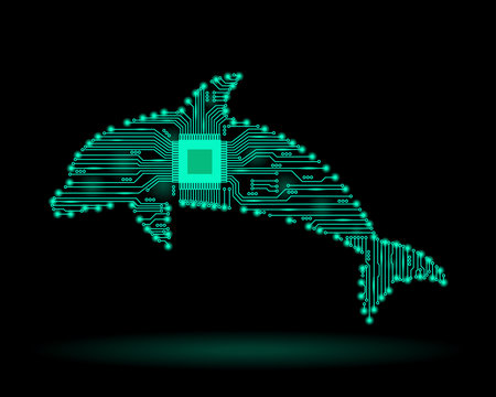 Dolphin Abstract of electronic circuits. Abstract background. Vector illustration.