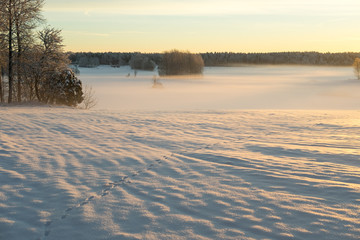 Country in Winter Season