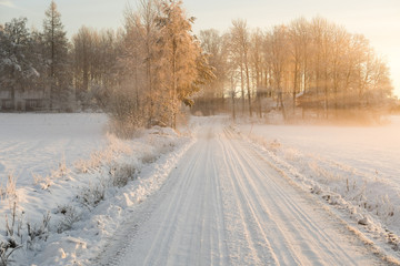 Country in Winter Season