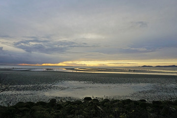 tidal flats on the Columbia river at sunset time