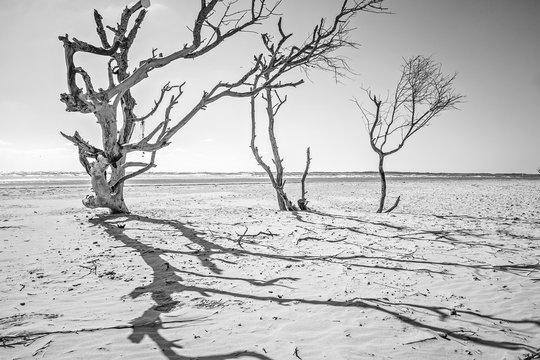 Coastal Scenes Around Folly Beach South Carolina