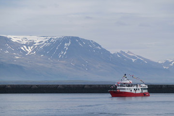 port Reykjavik