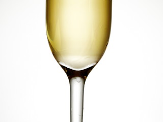 champagne glass isolated