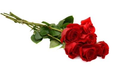 Papier Peint photo Lavable Roses bouquet de roses rouges isolé sur fond blanc