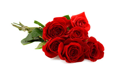 Obraz premium czerwona róża bukiet na białym tle