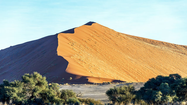 Dune in Sossusvlei plato of Namib Naukluft National Park - Namibia, South-West Africa