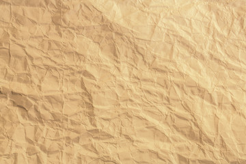 Crumpled sheet of paper