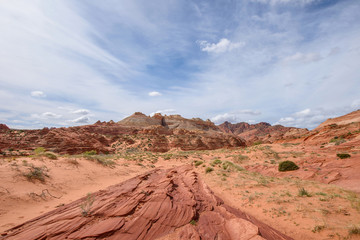 Fototapeta na wymiar Path to The Wave - The un-marked hiking trail to the famous The Wave in the North Coyote Buttes area, Page, Arizona, USA.