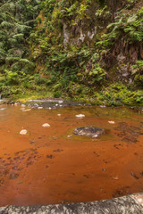 Caldeira Velha location