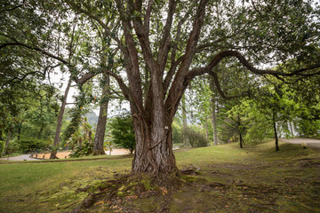 Terra Nostra nature park