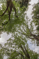 Terra Nostra nature park