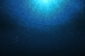 Dense ocean plankton near sea surface during early summer bloom. - obrazy, fototapety, plakaty