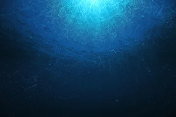 Dense ocean plankton near sea surface during early summer bloom. © Daniel Poloha