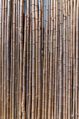 dry bamboo